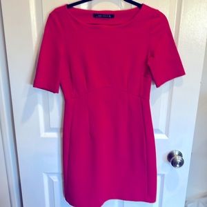 Gorgeous Zara Pink Dress